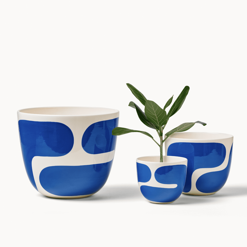 Frank dam カフェ　アート 474mm × 459mm Cobalt Color Block Planters — Franca NYC